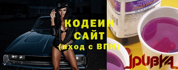 дживик Богородск