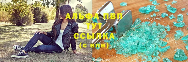 метадон Богданович