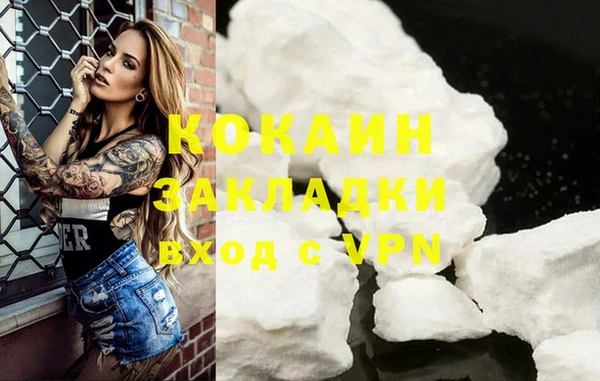метадон Богданович