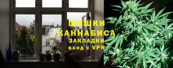 метадон Богданович