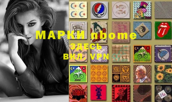 метадон Богданович
